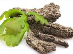 ДЪБ КОРИ - 50 гр.