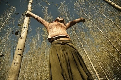 Хатори: Чувствата