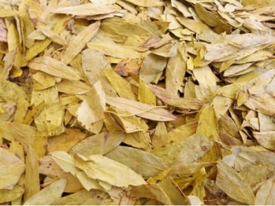 ЛИСТА ОТ СЕНА