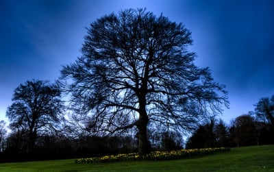 Най-добрите условия за виждане на аурата