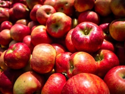 Притча за царя и хубавите ябълки