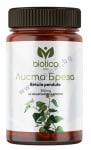 ЛИСТА БРЕЗА капсули * 60 БИОТИКА