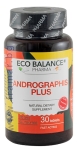 ЕКО БАЛАНС АНДРОГРАФИС ПЛЮС таблетки * 30