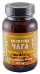 СИБИРСКА ЧАГА С КУРКУМИН И ПИПЕРИН капсули * 90 VERDE VITA