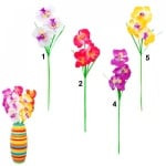 Орхидея с 3 цвята