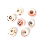 Морски раковини 22~30x7~10 мм дупка 1.5~ 2 мм -50 грама ~7 броя