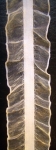 Ластик с органза 20 мм двойна бял -1 метър