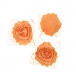 Цвят роза 65 мм гума органза брокат оранжева