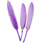 Перa за декорация цвят виолетов 150~20 мм -10 броя