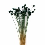 Букет сухи цветя Glixia за декорация цвят тюркоаз ~53 броя