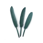 Перо 100~150x15~20 мм цвят Teal -10 броя