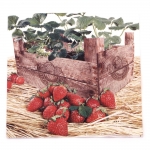 Салфетка HOME FASHION 33x33 см трипластова Strawberry Case -1 брой
