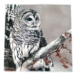 Салфетка HOME FASHION 33x33см трипластова Snow Owl -1 брой