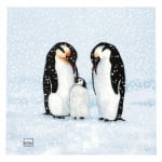 Салфетка HOME FASHION 33x33см трипластова Penguin Family -1 брой