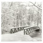 Салфетка за декупаж Ambiente 33x33 см трипластова Snow Bridge-1 брой