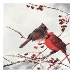 Салфетка ti-flair 33x33см трипластова Cardinal Birds on snowy Branch -1 брой