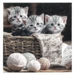 Салфетка ti-flair 33x33см трипластова Striped Kittens -1 брой
