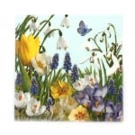 Салфетка за декупаж Ambiente 33x33 см трипластова Spring Time -1 брой