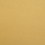 Хартия перлена едностранна релефна с мотив 120 гр/м2 А4 (297x210 мм) злато -1 брой