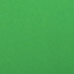 Картон 180 гр/м2 А3 (297x420 мм) зелен тревисто -1 бр.