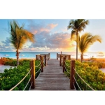 Диамантен гоблен 20x30 см кръгли диаманти пълно облепяне с рамка -Тропическо лято YSB032