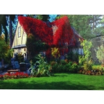 Диамантен гоблен 20x30 см кръгли диаманти пълно облепяне с рамка - Горска стара къща JS21275