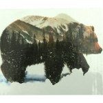Комплект рисуване по номера 40x50 см - Снежна кафява мечка PH9408