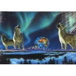 Диамантен гоблен 20x30 см кръгли диаманти пълно облепяне с рамка - Гласът на вселената GLB30439