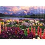 Диамантен гоблен 21x25 см кръгли диаманти частично облепяне -Прелестна поляна YSA2778