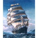 Диамантен гоблен 5D 40x50 см кръгли диаманти пълно облепяне - По гребена на вълните GLE77229