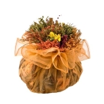 Органза портокал