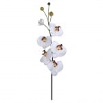 Орхидея бяла 86см.