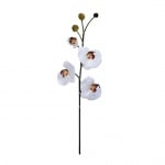 Орхидея бяла 63см.