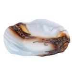 Black beauty Фруктиера