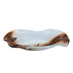 Black beauty Фруктиера