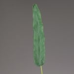 Декоративен лист, Strelizienblatt, 68 cm, зелен