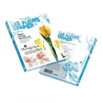 Креативен комплект за направата на цветя от хартия Les fleurs en papier, «Early Crocus»
