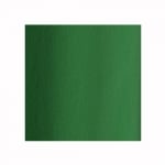 Креп хартия, 35 g/m2, 50 x 250 cm, 1 ролка, мъхово зелен