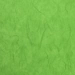 Тишу хартия с влакна, 25 g/m2, 50 x 70 cm, 1л, майско зелена