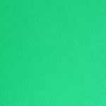 Фото картон едностранно грапав, 220 g/m2, 50 x 70 cm, 1л, ябълково зелен
