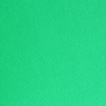 Фото картон едностранно грапав, 220 g/m2, А4, 1л, ябълково зелен