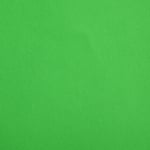 Цветен картон, 130 g/m2, 70 x 100 cm, 1л, листно зелен