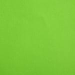 Цветен картон, 130 g/m2, 70 x 100 cm, 1л, майско зелен