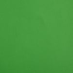 Цветен картон, 130 g/m2, 70 x 100 cm, 1л, ябълково зелен