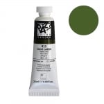 Постерна боя на водна основа PASS COLOR, 20 ml, Olive Green