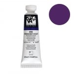 Постерна боя на водна основа PASS COLOR, 20 ml, Permenent Violet