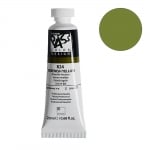 Постерна боя на водна основа PASS COLOR, 20 ml, Greenish Yellow