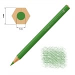 Цветен молив CREALL Maxi, лакиран, тъмнозелен