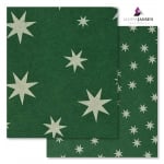 Варио картон, 300 g/m2, 50 x 70 cm, 1л, зелен със сребърни звезди