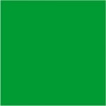 Фолио за прозорци, 195 g/m2, 50 x 70 cm, 1 л, листно зелен